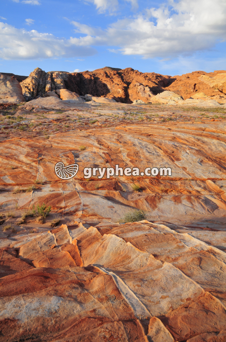 Grès bigarrés (Valley of fire, Nevada) - gryphea.org